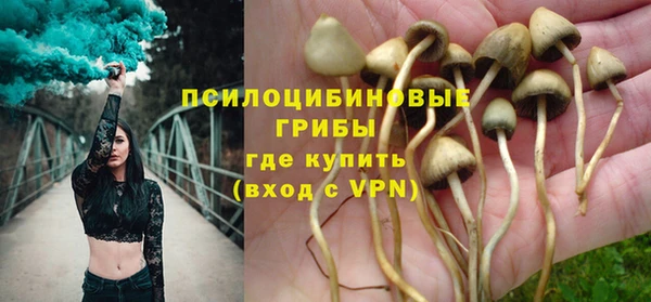 прущий лед Алексин