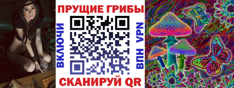 Купить где  Лесной  Псилоцибиновые грибы Psilocybe 